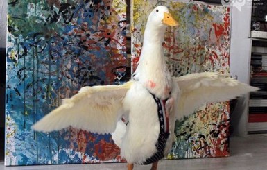 За картины одесской утки ценители выкладывают по 100 долларов 