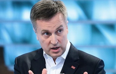 Депутаты голосовали за отставку Наливайченко, потому что так сказал президент