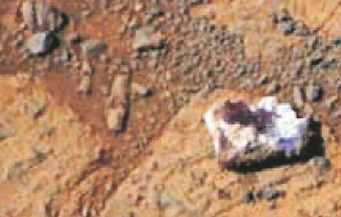 На Марсе пошли белые грибы