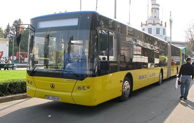Львовский завод построит для Египта почти 300 автобусов