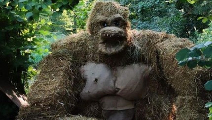 На Черниговщине появилась соломенная горилла