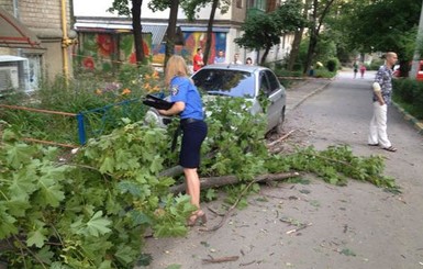 В Харькове на маму с младенцем упало дерево