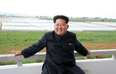 Ким Чен Ын казнил управляющего черепаховой фермой 