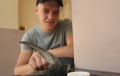В СИЗО Харькова заключенный спас стрижа, который потерял сознание