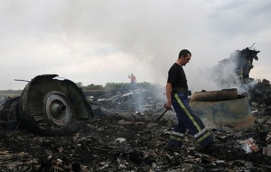 Малайзия просит создать международный трибунал по сбитому на востоке Украины Боингу