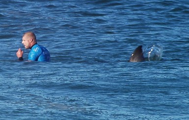 Акула напала на серфингиста во время соревнований