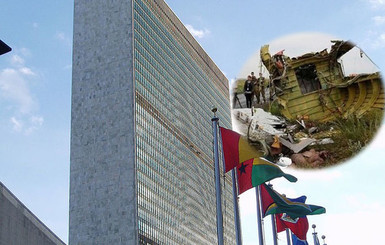 Сегодня Совет Безопасности ООН рассмотрит резолюцию о трибунале по Боингу