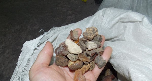 Львовские пограничники задержали на польской границе рекордное количество янтаря