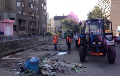 В Киеве под незаконными МАФами живут полчища крыс