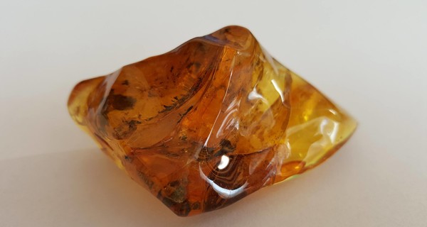 Аваков сообщил о задержании рекордной партии янтаря весом 2,5 тонн 