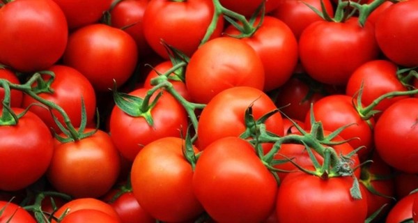 В России водитель фуры спас полторы тонны санкционных помидоров от уничтожения, угнав их в  Беларусь