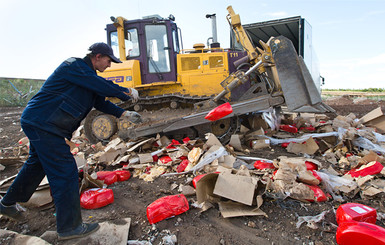 Не сыром единым: в России уничтожили 320 тонн санкционных продуктов
