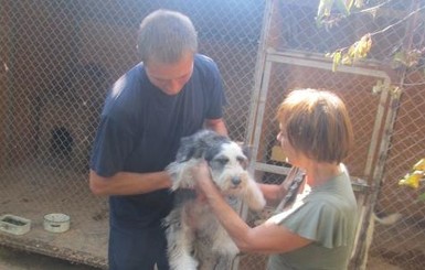 В Киевской области спасли собак, которые страдали от жажды