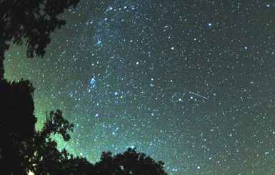 В ночь на 13 августа украинцы смогут наблюдать в небе ярчайший звездопад