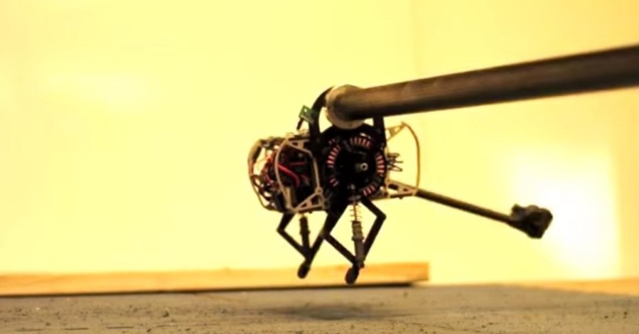 Наука движется скачками: создан первый в мире робот-тушканчик