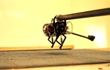 Наука движется скачками: создан первый в мире робот-тушканчик