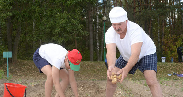 Белорусские СМИ разгадали тайну шапочки, в которой Лукашенко копал картошку 