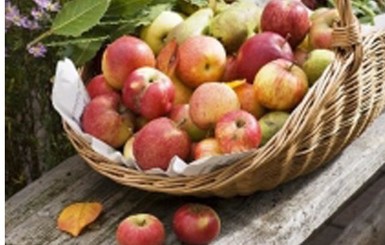 Яблочный спас 2015: традиции праздника