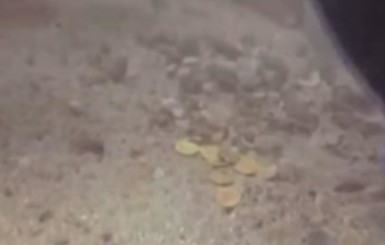 В США водолазы нашли уникальные монеты испанского короля Филиппа V