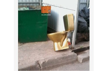 В Ростове неизвестный выбросил на мусорник золотой унитаз