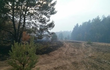 В Киеве развеялся смог, горит всего один торфяник