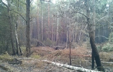 В Киевской области места, где горят торфяники, превращают в болото