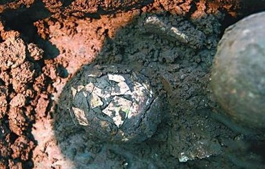 В Китае нашли древнее куриное яйцо возрастом две тысячи лет