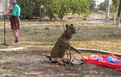 В Киеве на Троещине из собаки сделали чучело и поставили около детской площадки