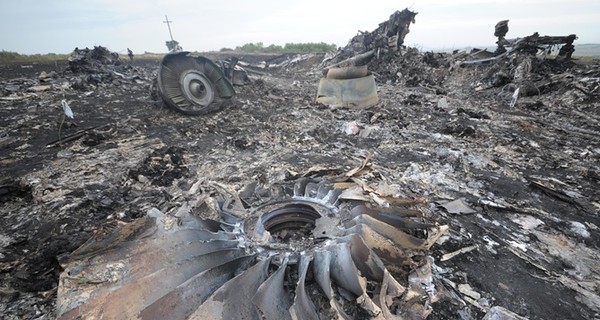 Нидерланды опубликуют окончательный доклад по крушению Боинга в Донбассе