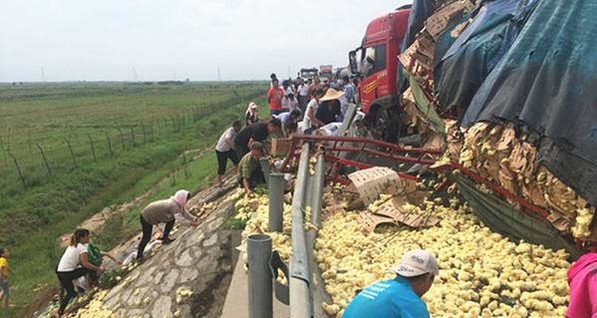 В Китае на трассе перевернулся грузовик с тысячами цыплят