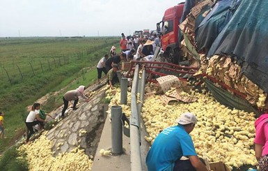 В Китае на трассе перевернулся грузовик с тысячами цыплят