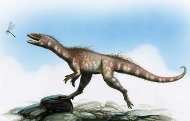 В Великобритании нашли карликового предка тираннозавра, который оказался 