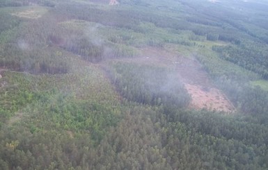 В Житомирской области горят торфяники