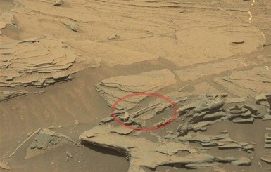 Фото дня: на Марсе нашли 