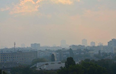 В Киеве из-за дыма родителей просят забрать детей из школы