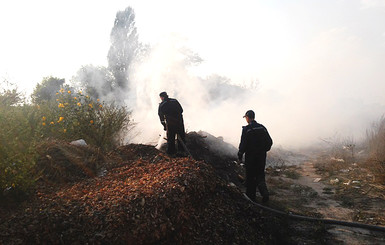 Нам бы воздуха глоток: Киевскую, Винницкую, Житомирскую и Черкасскую области затянуло едким дымом  