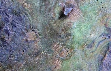 В NASA  опубликовали уникальное фото скал Марса