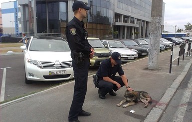 Во Львове полицейские спасали раненую собаку