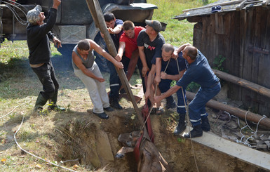 На Закарпатье спасатели вытащили корову из 7-метрового колодца 