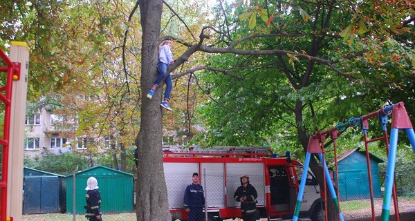 Во Львове спасатели сняли с 4-метрового дерева подростка