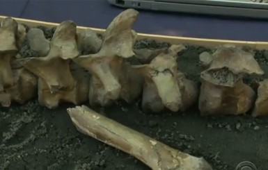 В Иране обнаружен древнейший скелет человека