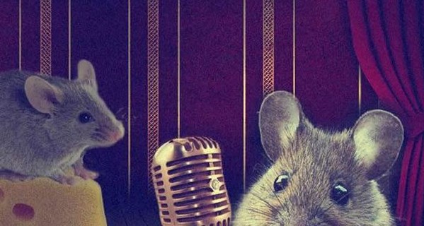 Влюбленные мыши поют друг другу песни