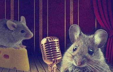 Влюбленные мыши поют друг другу песни
