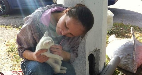 Под Киевом спасли котенка-скалолаза, которого засунули в фонарный столб