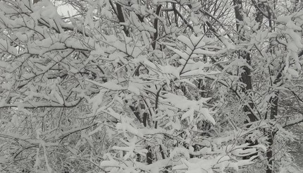 Одессу замело снегом 27.01.2021