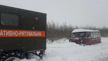 Поваленные деревья и занесенные снегом дороги: последствия снежной стихи в Украине