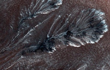 В НАСА раскрыли главную тайну Марса