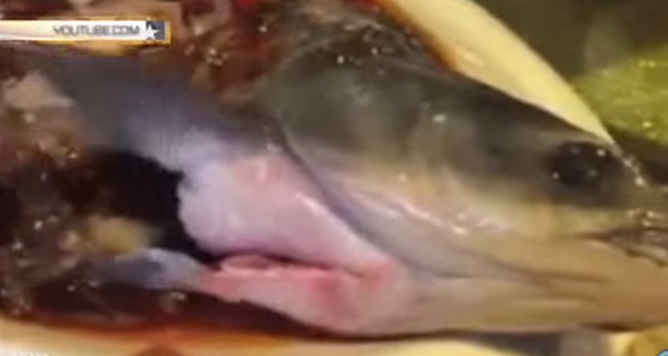 В Китае посетителю ресторана подали блюдо из живой рыбы