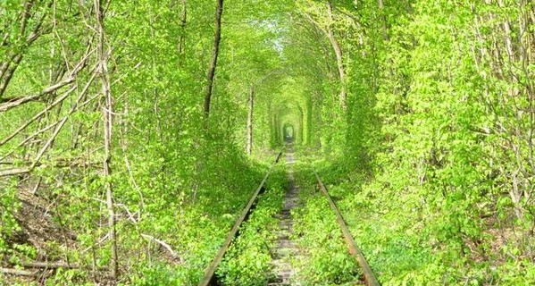 Ровенский тоннель любви попал в десятку самых красивых природных 