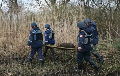 Минобороны: украинские саперы уничтожили свыше 20 тысяч мин в зоне АТО